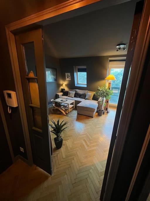 Appartement Cosy Le Chesnay Ле-Шене Экстерьер фото